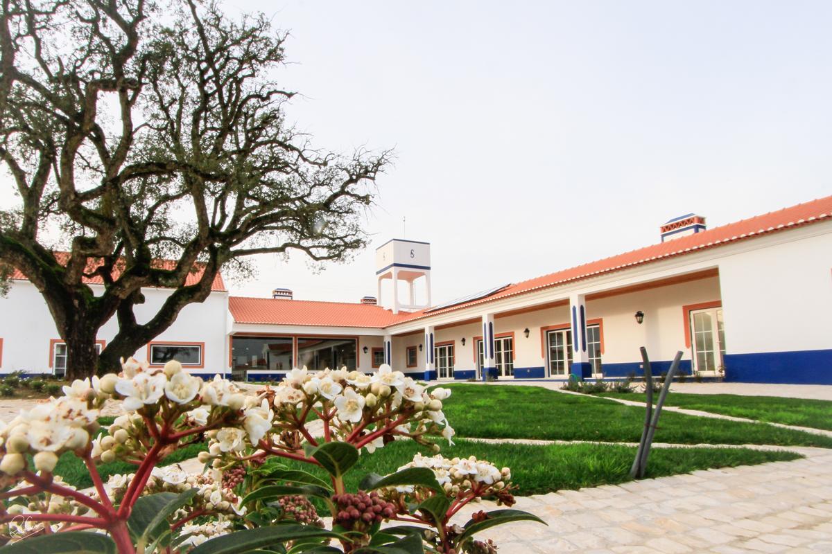 Bed and Breakfast Quinta Da Torre - Casas De Campo Alenquer Exteriér fotografie